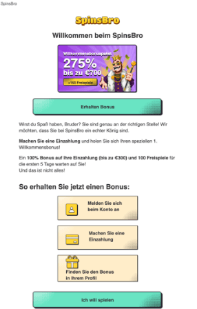 Spinsbro Anweisung-2