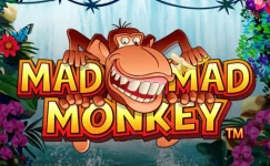 Mad Mad Monkey Mad Mad Monkey