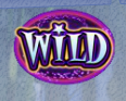 Cash Wizard Spielautomat - Screenshot (1)