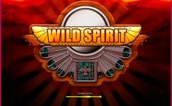 Wild Spirit Wild Spirit