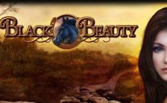 Black Beauty Black Beauty