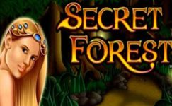 Secret Forest Secret Forest