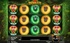 7 Monkeys 7 Monkeys