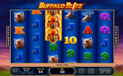 Buffalo Blitz Buffalo Blitz