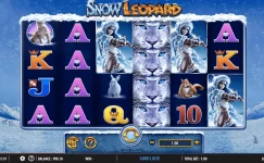 Snow Leopard Snow Leopard