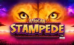 African Stampede African Stampede