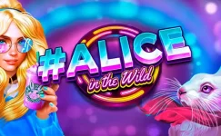 #Alice in the Wild Demo