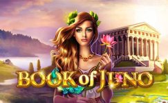Book of Juno Book of Juno