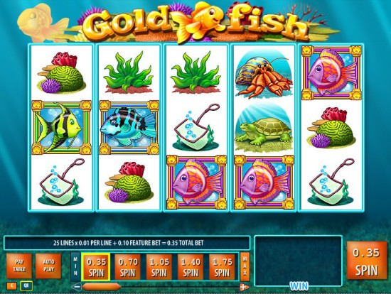 Gold Fish