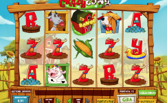 Crazy Cows Crazy Cows