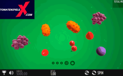 Fruit Warp Fruit Warp