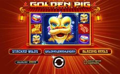 Golden Pig Golden Pig