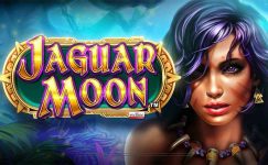 Jaguar Moon Jaguar Moon