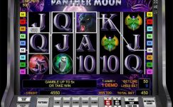 Panther Moon Panther Moon