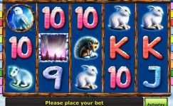 Polar Fox Polar Fox