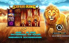 Safari King Safari King