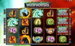 Wild Horses Wild Horses